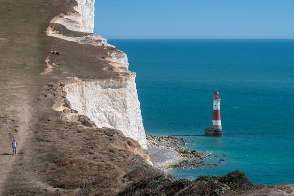 Beachy Head Lighthouse  Picture Board by Wendy Williams CPAGB