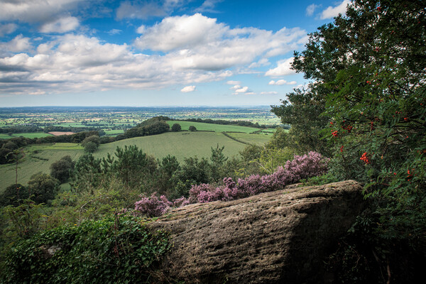 Overlooking the Cheshire Plain Picture Board by Wendy Williams CPAGB