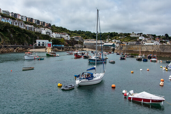 Boats in Mevagissy harbour Picture Board by Wendy Williams CPAGB