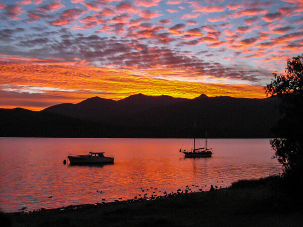 Te Anau Sunset Picture Board by Wendy Williams CPAGB