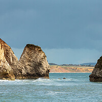 Buy canvas prints of Together at Freshwater Bay by Wendy Williams CPAGB