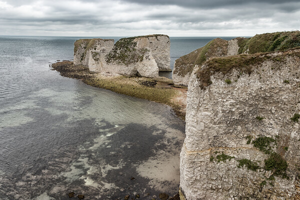 Old Harry Rocks Picture Board by Wendy Williams CPAGB