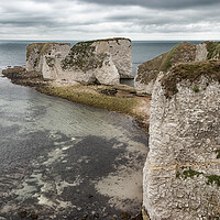 Buy canvas prints of Old Harry Rocks by Wendy Williams CPAGB