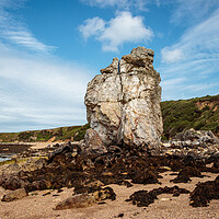 Buy canvas prints of The Enchanting Beauty of Porth Padrig Beach by Wendy Williams CPAGB