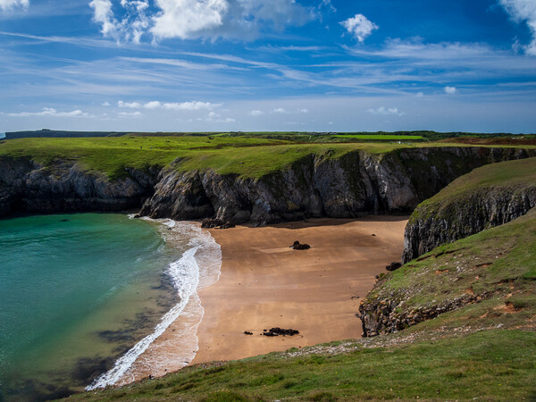 Stackpole Bay from the Coastal Path Picture Board by Wendy Williams CPAGB