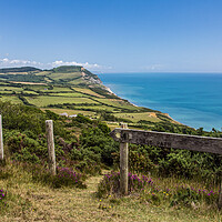 Buy canvas prints of Diverted Coastal Path by Wendy Williams CPAGB