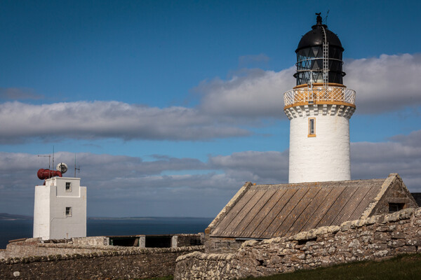 Dunnet Head Lighthouse Picture Board by Wendy Williams CPAGB