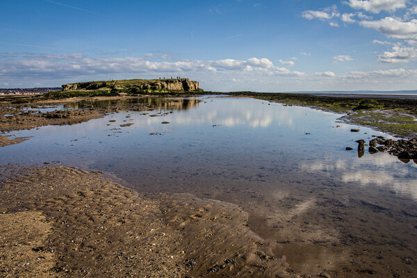 Hilbre Island Reflections Picture Board by Wendy Williams CPAGB