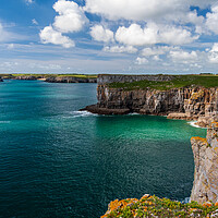Buy canvas prints of Stackpole Head by Wendy Williams CPAGB