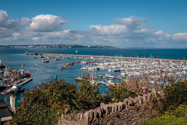 Brixham harbour from North View Road Picture Board by Wendy Williams CPAGB