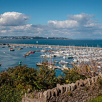Buy canvas prints of Brixham harbour from North View Road by Wendy Williams CPAGB