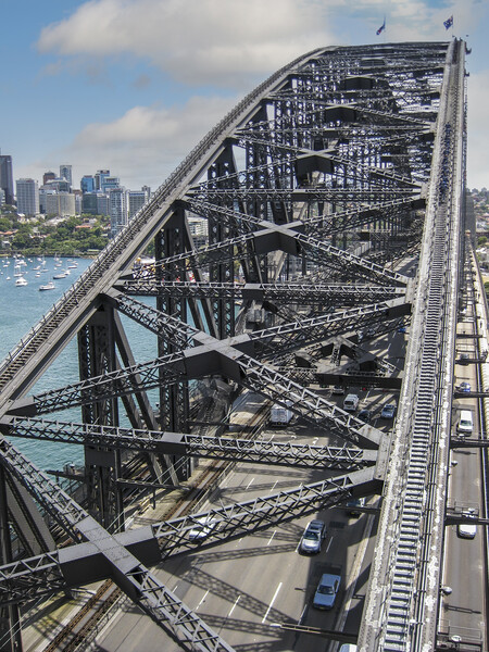 On Sidney Harbour Bridge Picture Board by Wendy Williams CPAGB