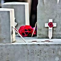Buy canvas prints of Poppies on the stone of remembrance by Paul Stevens