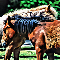 Buy canvas prints of New Forest Ponies by Paul Stevens