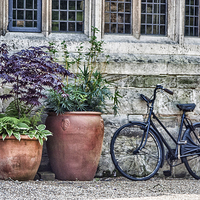 Buy canvas prints of Pots and Bicycle by Paul Stevens