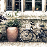 Buy canvas prints of Bicycle and Pots by Paul Stevens