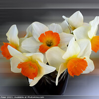 Buy canvas prints of Early spring daffodils by Marinela Feier