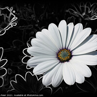 Buy canvas prints of Daisies and shades of gray by Marinela Feier