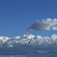 Buy canvas prints of A flight under the clouds by Marinela Feier