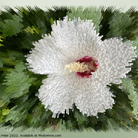 Buy canvas prints of White flower puzzle by Marinela Feier