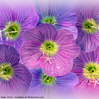 Buy canvas prints of Shades of purple by Marinela Feier