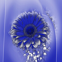 Buy canvas prints of Blue flower by Marinela Feier