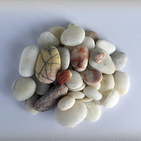 Buy canvas prints of  white pebbles by Marinela Feier