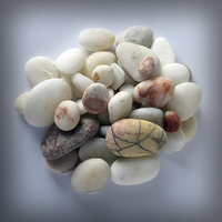 Buy canvas prints of  white pebbles 2 by Marinela Feier