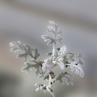 Buy canvas prints of  Natural Christmas Decorations by Marinela Feier