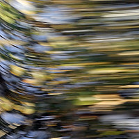 Buy canvas prints of Speed by Marinela Feier