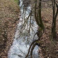 Buy canvas prints of reflected on stream by Marinela Feier