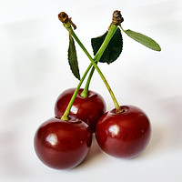 Buy canvas prints of three sour cherries by Marinela Feier