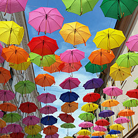 Buy canvas prints of Roof of umbrellas by Marinela Feier