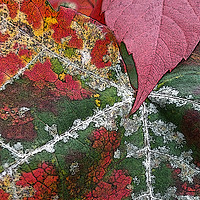Buy canvas prints of rust of autumn by Marinela Feier