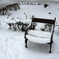 Buy canvas prints of New snow on the armchair by Marinela Feier