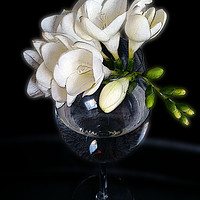 Buy canvas prints of white freesia in a glass by Marinela Feier