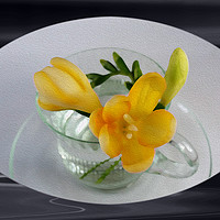 Buy canvas prints of Yellow freesia buds by Marinela Feier