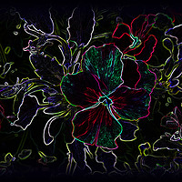 Buy canvas prints of Glowing pansy contours by Marinela Feier