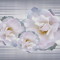 Buy canvas prints of Pink gray roses by Marinela Feier