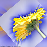 Buy canvas prints of Yellow and blue by Marinela Feier