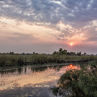 Buy canvas prints of Sun Rising on the Okavango Delta by Belinda Greb