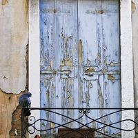 Buy canvas prints of Venice Door by Belinda Greb