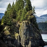 Buy canvas prints of  Growing from Rock by Belinda Greb