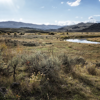 Buy canvas prints of  Waiting For Wolves In Lamar Valley - Yellowstone by Belinda Greb