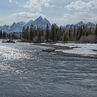 Buy canvas prints of Shimmering Snake River and the Tetons by Belinda Greb
