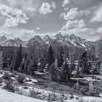 Buy canvas prints of Grand Tetons from Schwabacher Road bw by Belinda Greb