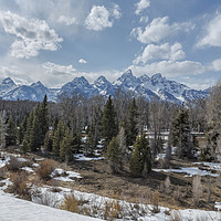 Buy canvas prints of Grand Tetons from Schwabacher Road by Belinda Greb