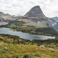 Buy canvas prints of Overlooking Hidden Lake and BearHat Mountain by Belinda Greb