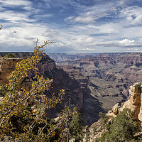 Buy canvas prints of Grand Canyon No. 7  by Belinda Greb
