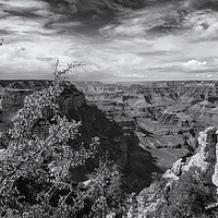 Buy canvas prints of Grand Canyon No. 7 bw by Belinda Greb